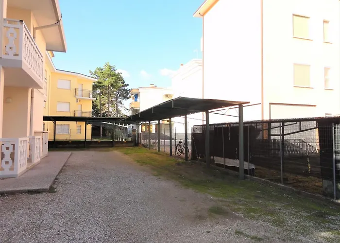 Bright Flat Close To The * ביביונה